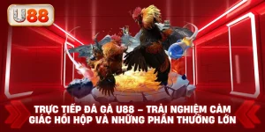 Trực Tiếp Đá Gà U88 – Trải Nghiệm Cảm Giác Hồi Hộp Và Những Phần Thưởng Lớn